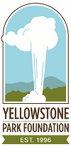 Gift Logo